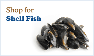 Shop for shell fish