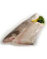 Haddock Fillet