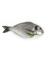 Whole Sea Bream