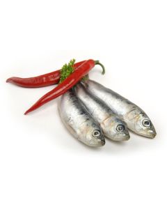 Whole Sardines (frozen)