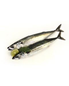 Whole Mackerel