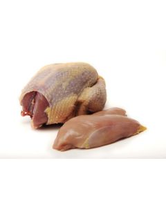 Wild Skinless Pheasant Breast (frozen)