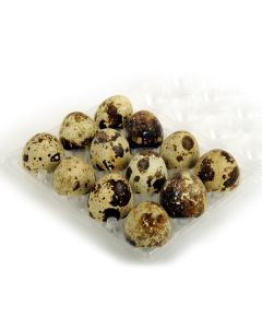 Quail Eggs