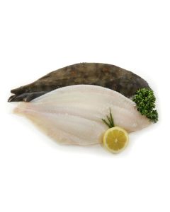 Plaice Fillet