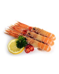 Langoustines (frozen)