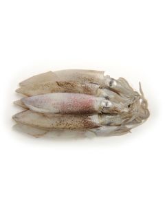 Whole Baby Squid (frozen)