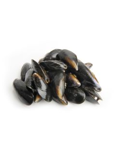 Shetland Mussels